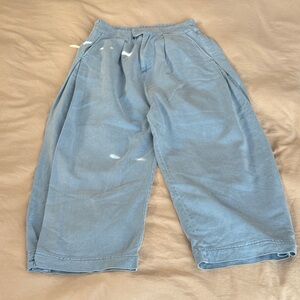 Free People barrel jean Pants